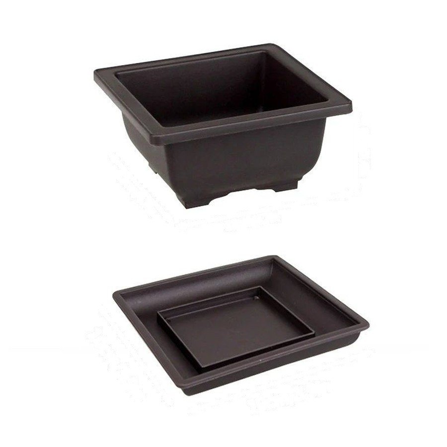 The Bonsai Pot and Saucer Set